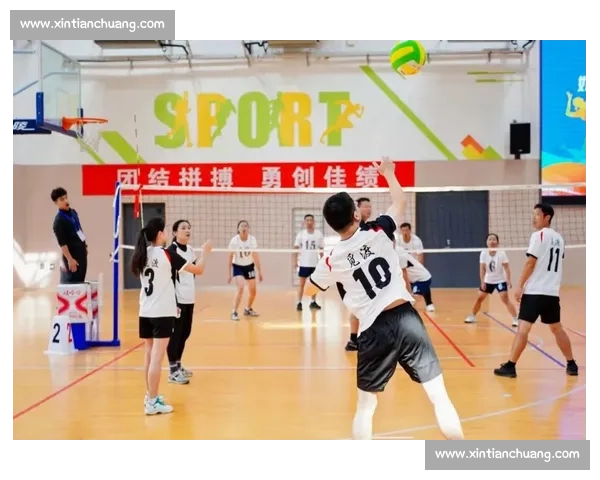 激烈对决掀排球风暴各队精彩赛场鏖战纪实