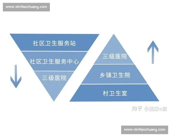 科学方法助力健康体重管理与长期控制策略探究 科学方法助力健康体重管理与长期控制策略探究